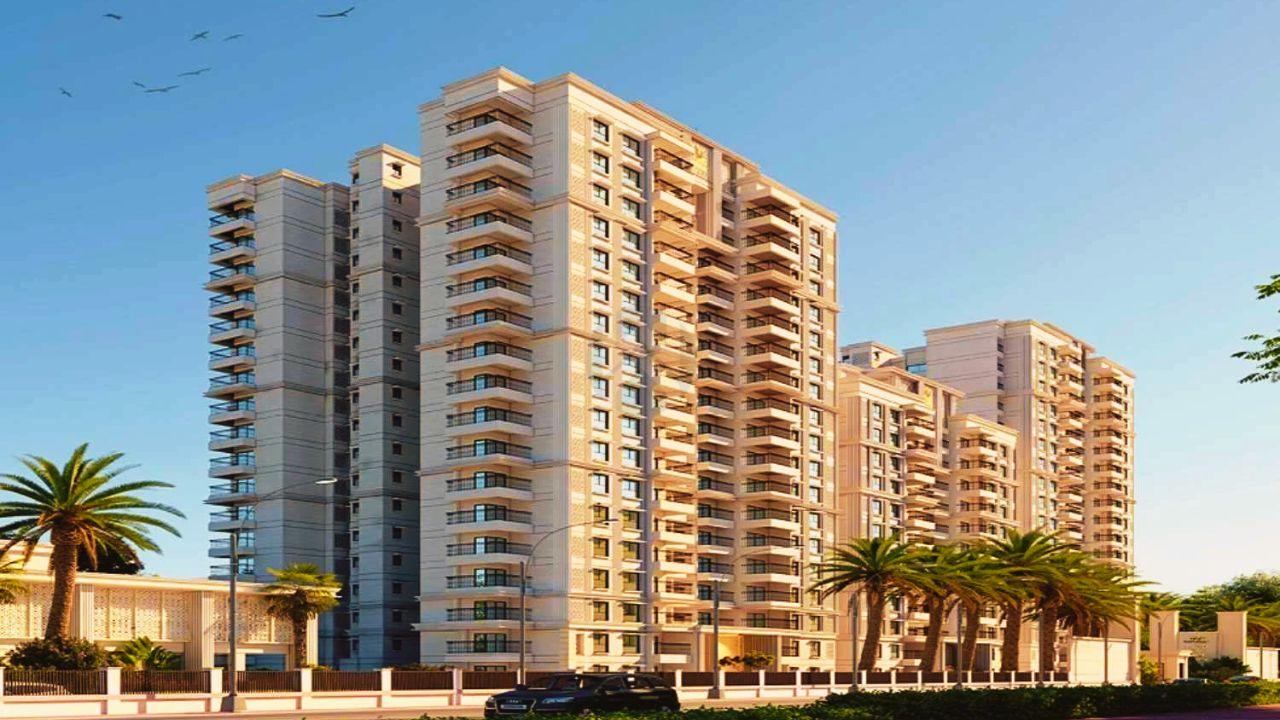 Clove county project logo