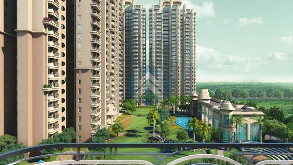 WhitehatRealtySitePlan