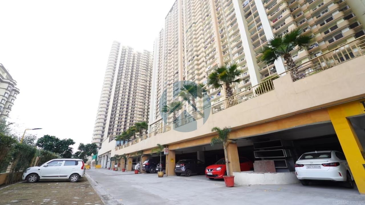 Saya Gold Avenue