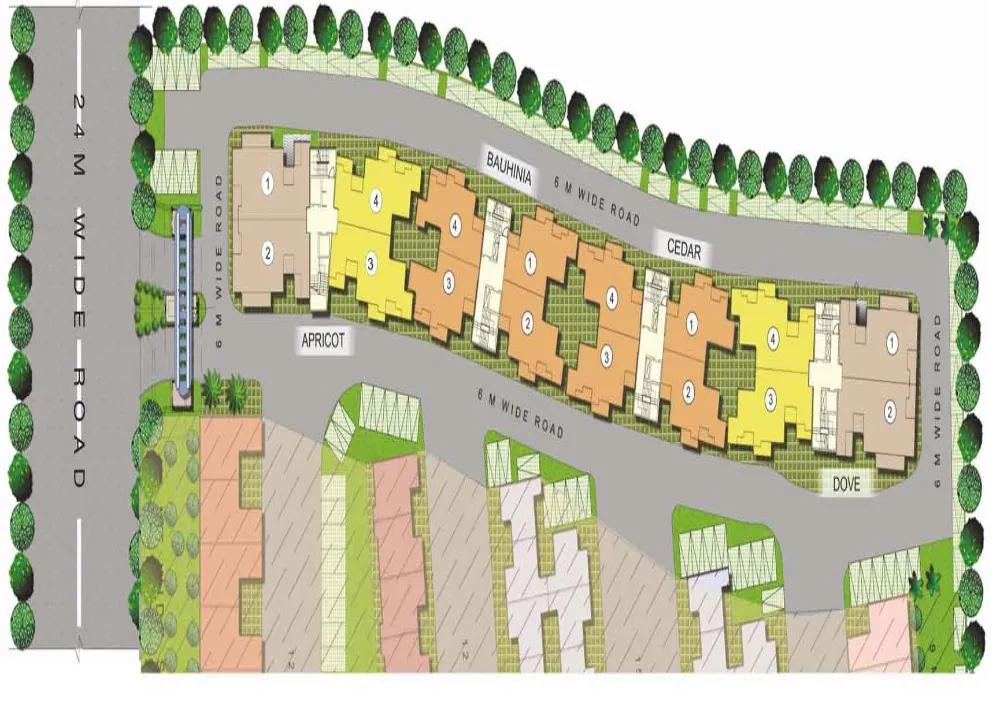 WhitehatRealtySitePlan